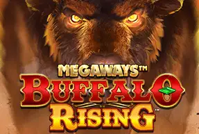 Buffalo Rising